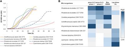 Screening and Growth Characterization of Non-conventional Yeasts in a Hemicellulosic Hydrolysate